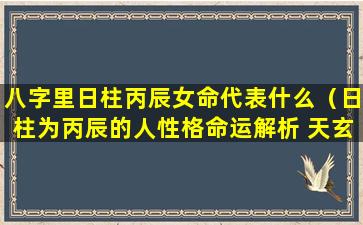 八字里日柱丙辰女命代表什么（日柱为丙辰的人性格命运解析 天玄）